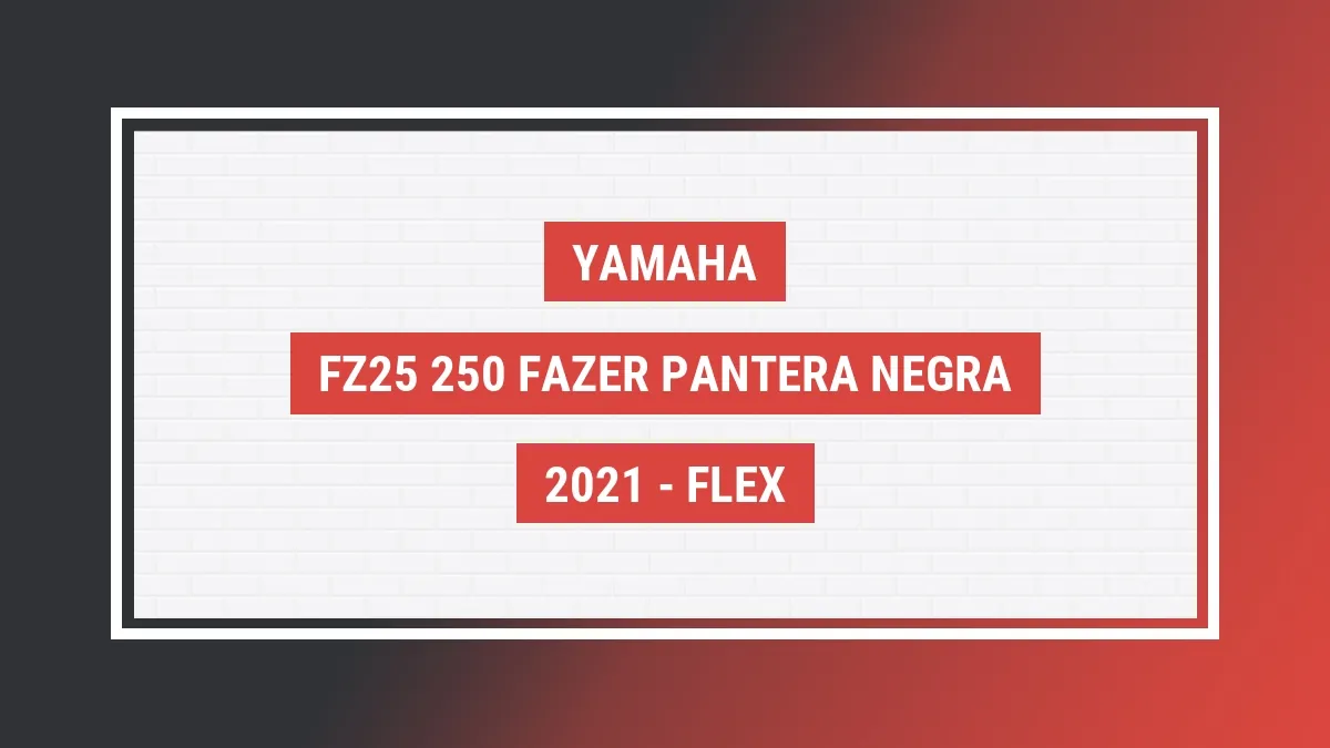 Imagem ilustrativa Yamaha Fz25 250 Fazer Pantera Negra 2021