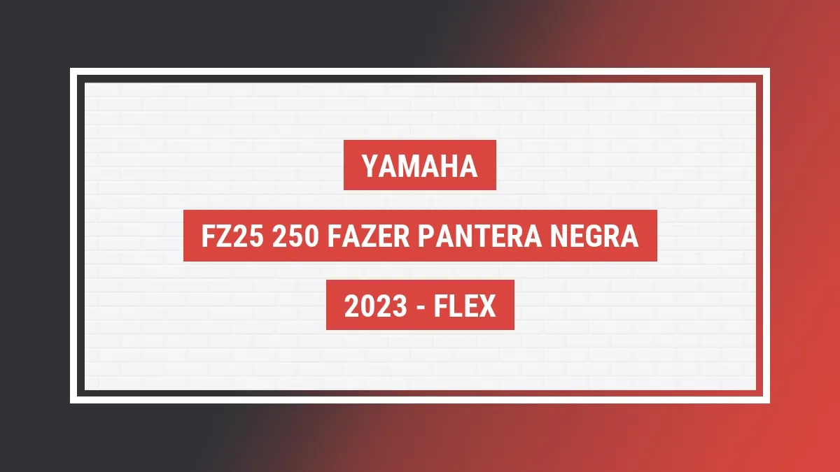 Imagem ilustrativa Yamaha Fz25 250 Fazer Pantera Negra 2023
