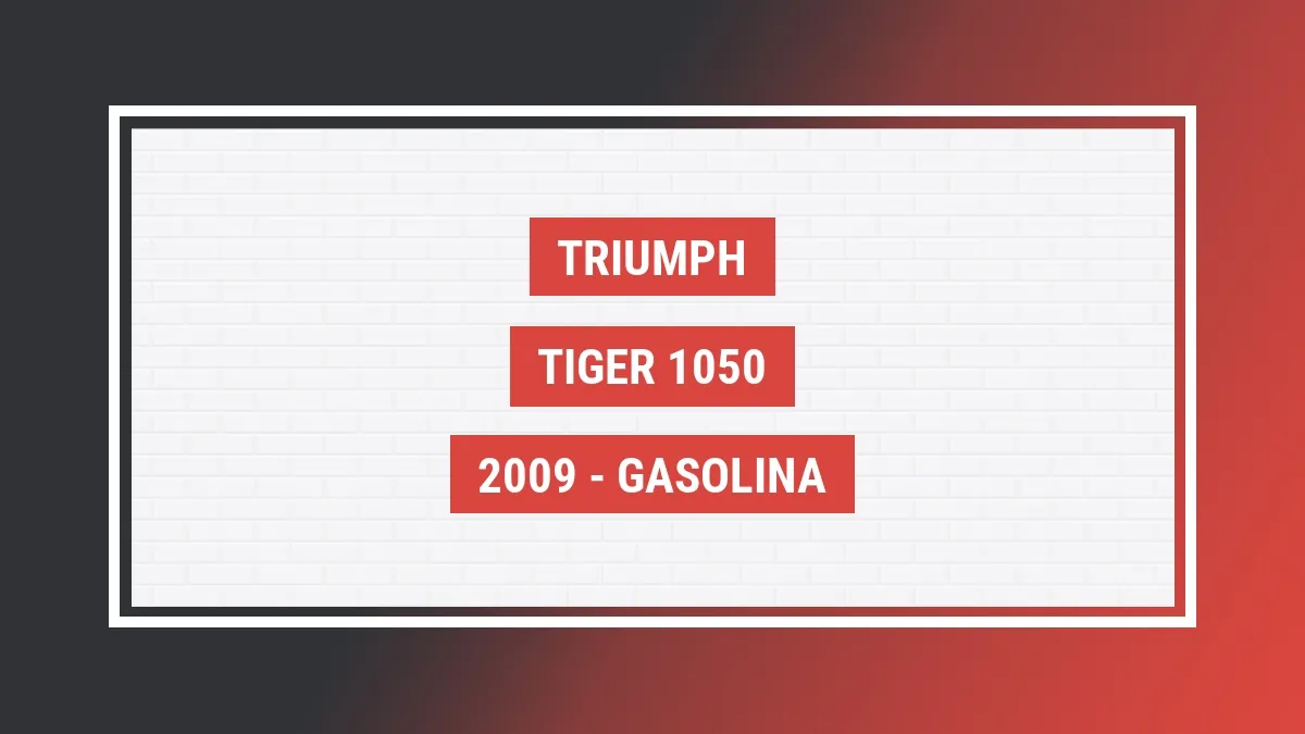 Imagem ilustrativa Triumph Tiger 1050 2009