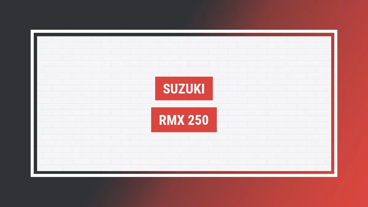 Imagem ilustrativa modelo Rmx 250 Suzuki