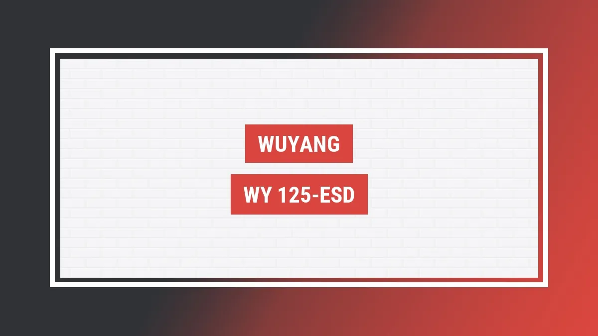 Imagem ilustrativa modelo Wy 125-esd Wuyang